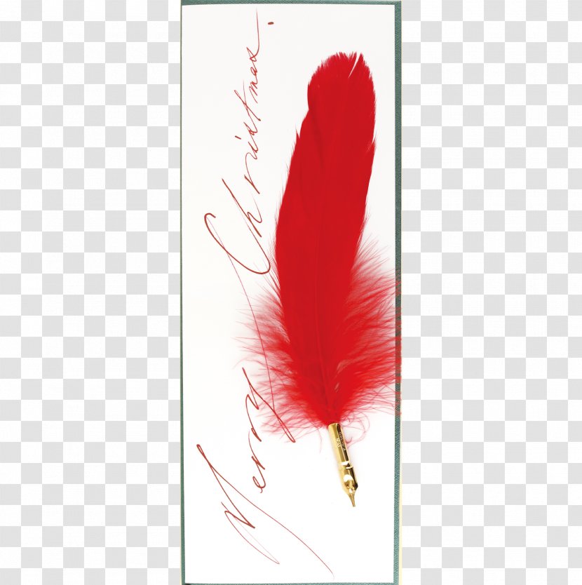 Feather - Red - Quill Transparent PNG
