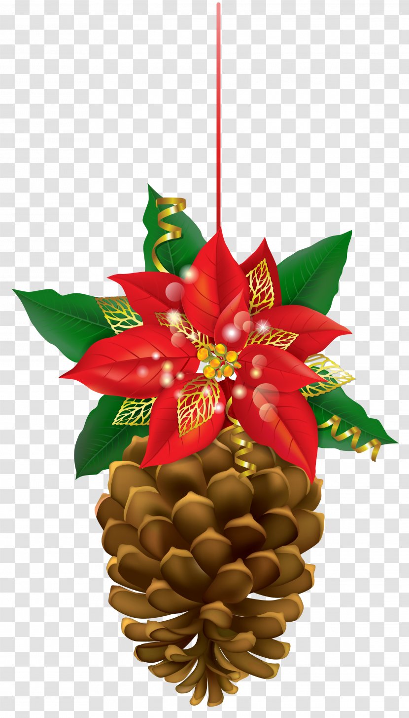 Poinsettia Christmas Clip Art - Pinecone With Clipart Image Transparent PNG