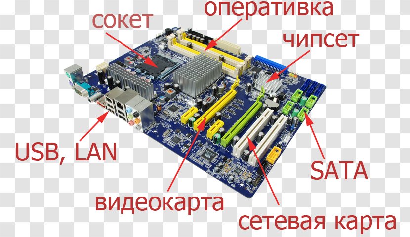 Graphics Cards & Video Adapters Computer Cases Housings Motherboard Printed Circuit Boards - Engineering Transparent PNG