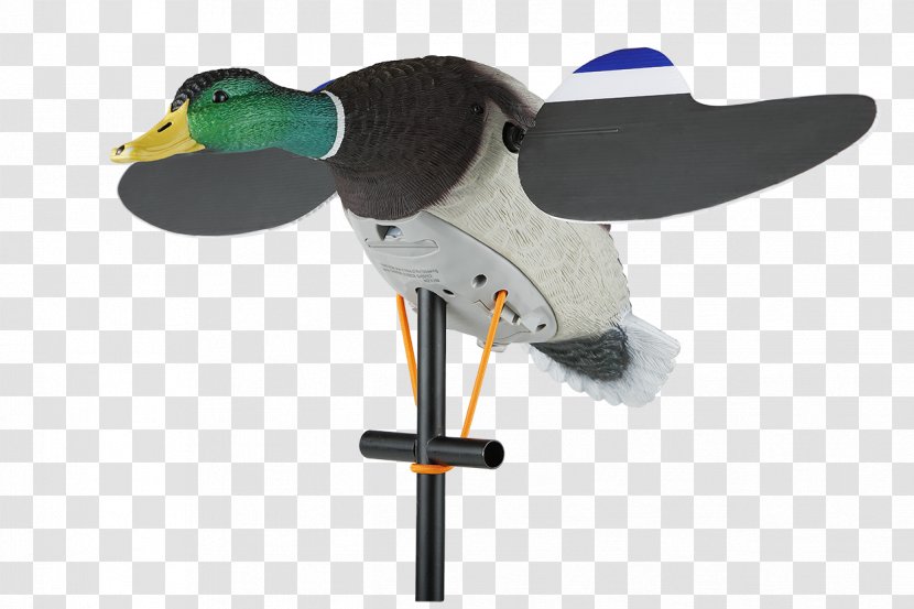 Duck Decoy Mallard Goose Transparent PNG