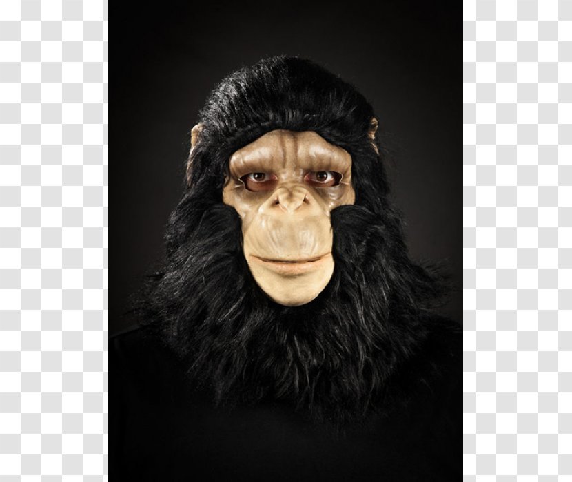 Common Chimpanzee Gorilla Monkey Mask Snout Transparent PNG