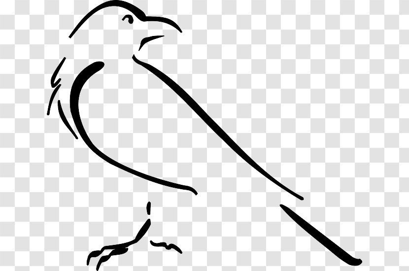 Crow Line Art Drawing Clip - White Transparent PNG