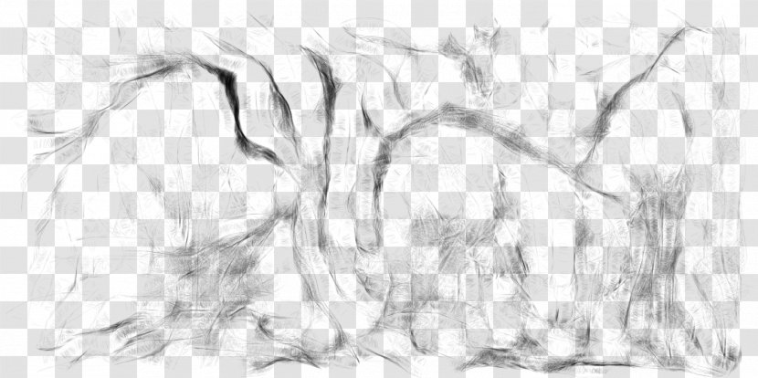 Drawing White Carnivora Line Art Sketch - Rain Forest Transparent PNG