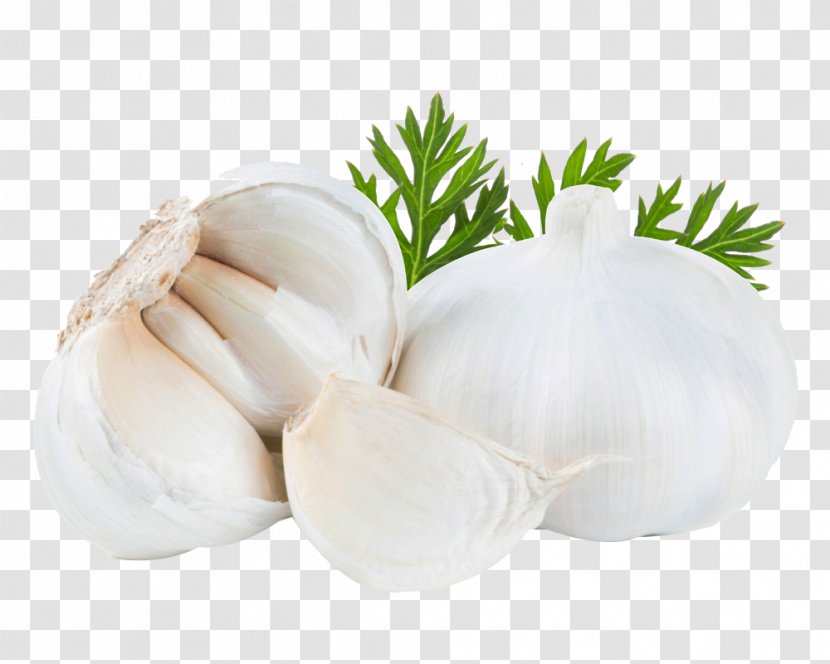 Pesto Garlic Press Vegetable Food - Herb - Three Transparent PNG