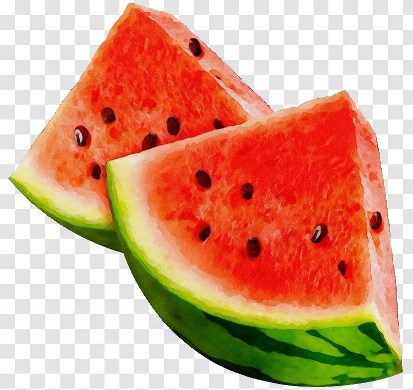 Watermelon - Melon - Flowering Plant Superfood Transparent PNG