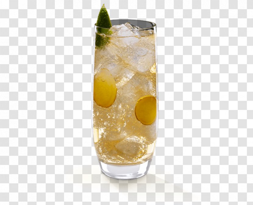 Cocktail Vodka Tonic Sea Breeze Caipirinha - Cymbopogon Citratus - Lemon Grass Transparent PNG