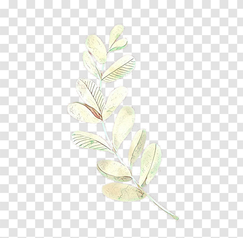 Feather Transparent PNG