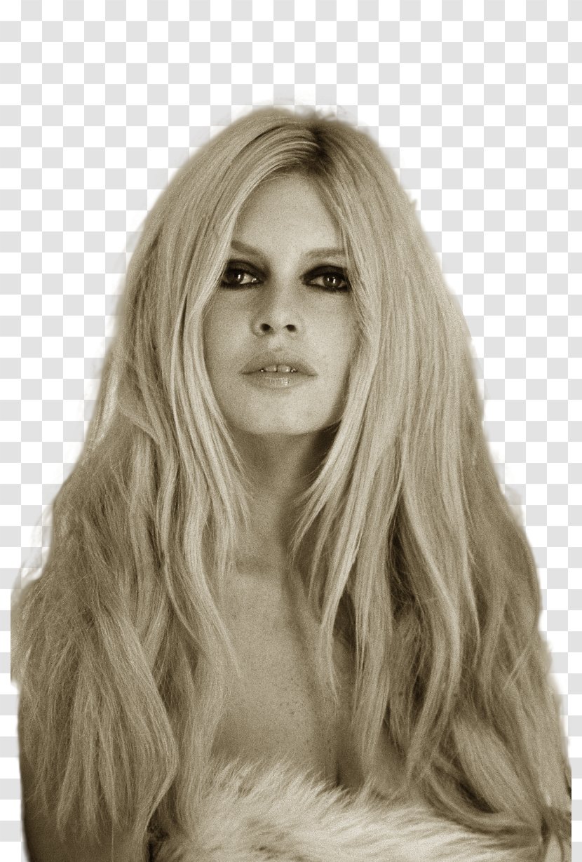 Brigitte Bardot Hairstyle Bouffant - Watercolor Transparent PNG