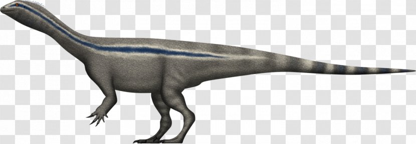 Riojasaurus Massospondylus Zupaysaurus Aardonyx Velociraptor - Dinosaur Transparent PNG