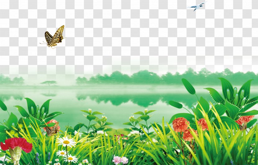 Poster Wallpaper - Sky - Riverside Flowers Decorated With Green Background Transparent PNG
