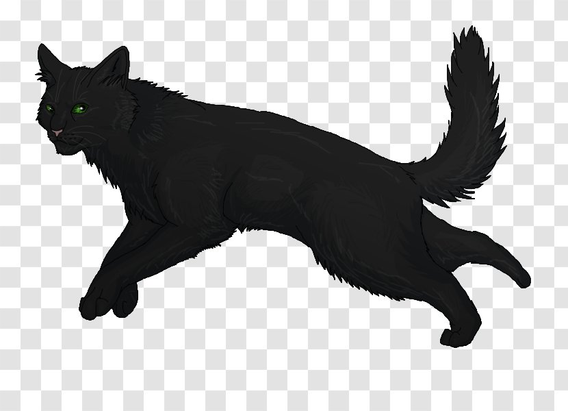 Black Cat Warriors Hollyleaf Clip Art - Dog Like Mammal - Holly Leaf Image Transparent PNG