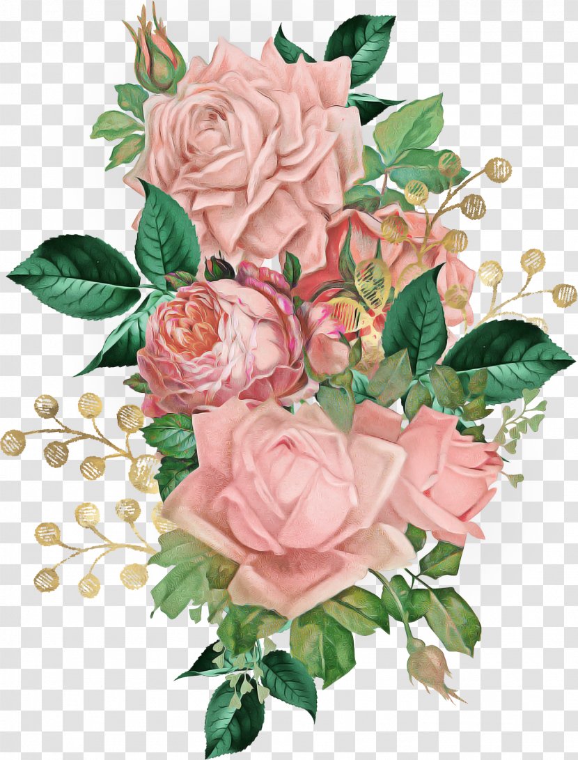 Garden Roses - Rose Family - Floribunda Transparent PNG