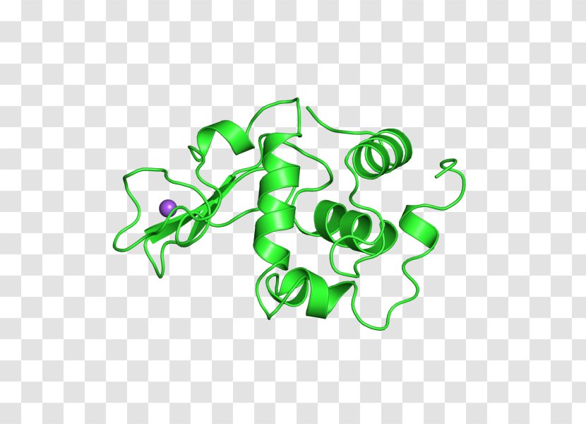 International Genetically Engineered Machine E. Coli Lysozyme Bacteria Clip Art - Transformation - E Cartoon Transparent PNG