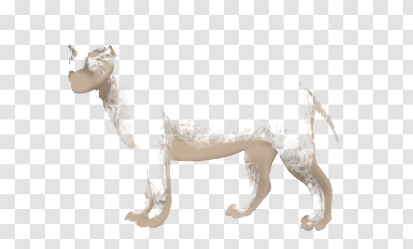 White Lion Dog Breed Cat - Horse Like Mammal Transparent PNG