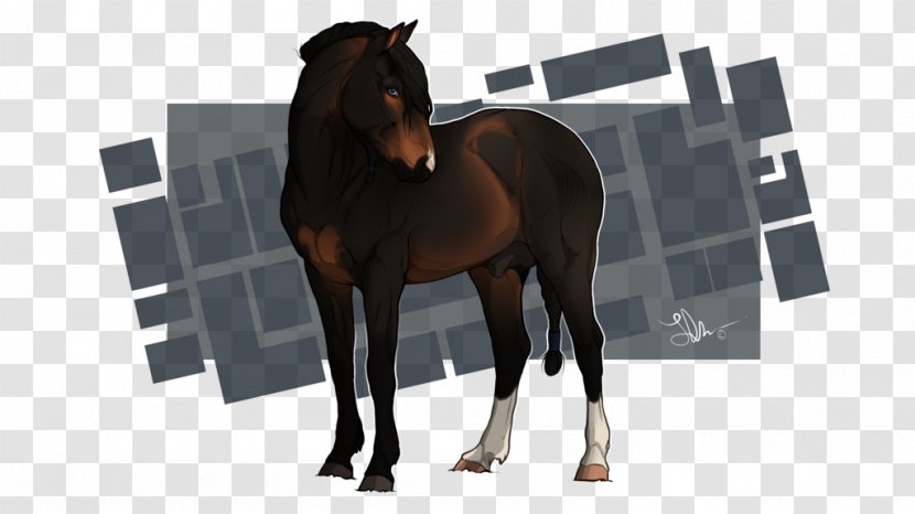 Stallion Mustang Halter Mare Colt - Saddle Transparent PNG