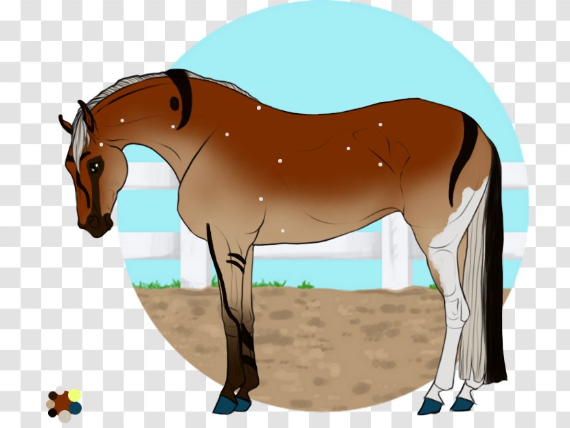 Mule Foal Stallion Mare Colt - Breaking Chain Transparent PNG