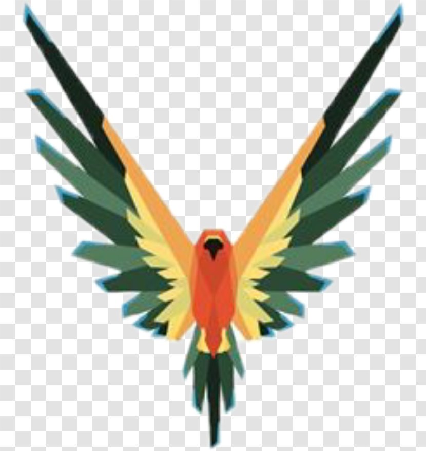 T-shirt Bird Hoodie Parrot Image - Logo Transparent PNG