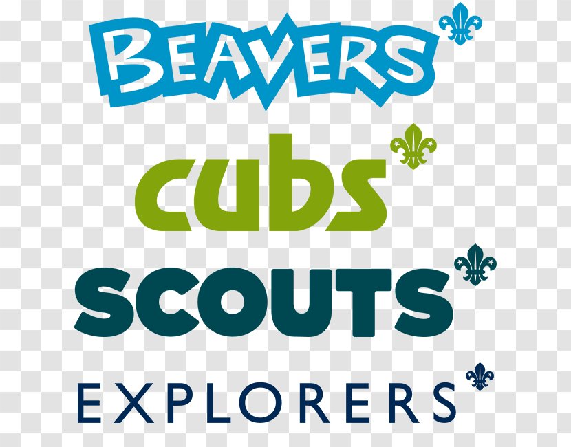 Beavers Beaver Scouts Scout Group The Association - Network Transparent PNG