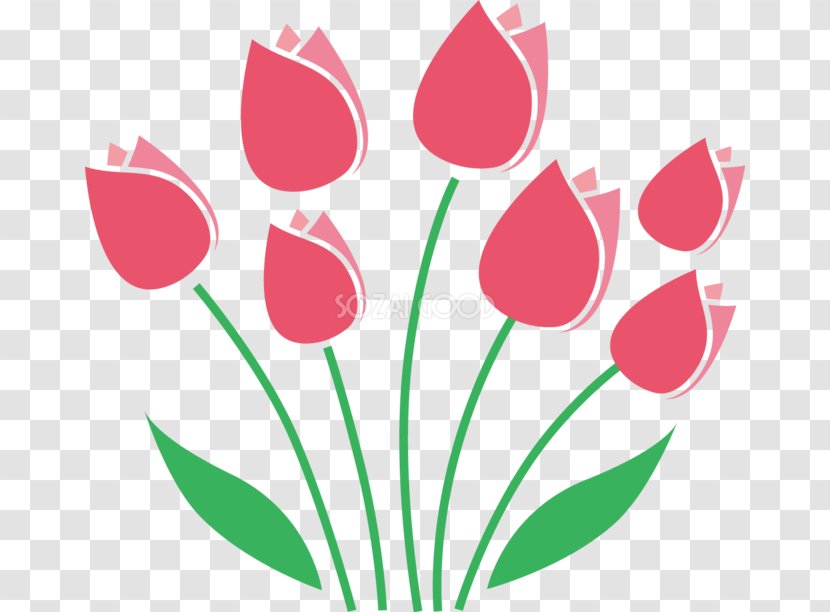 Tulip Floral Design Cut Flowers Stencil - Flower Transparent PNG