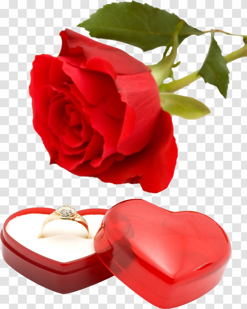 Wedding Ring Engagement Valentine's Day Transparent PNG