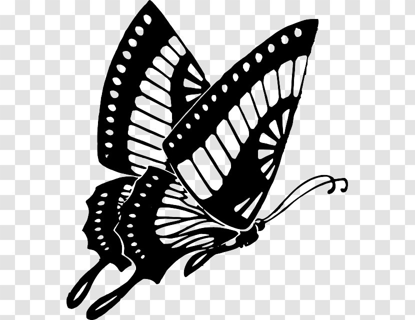 Butterfly Drawing Clip Art - Monarch - High-rise Vector Transparent PNG