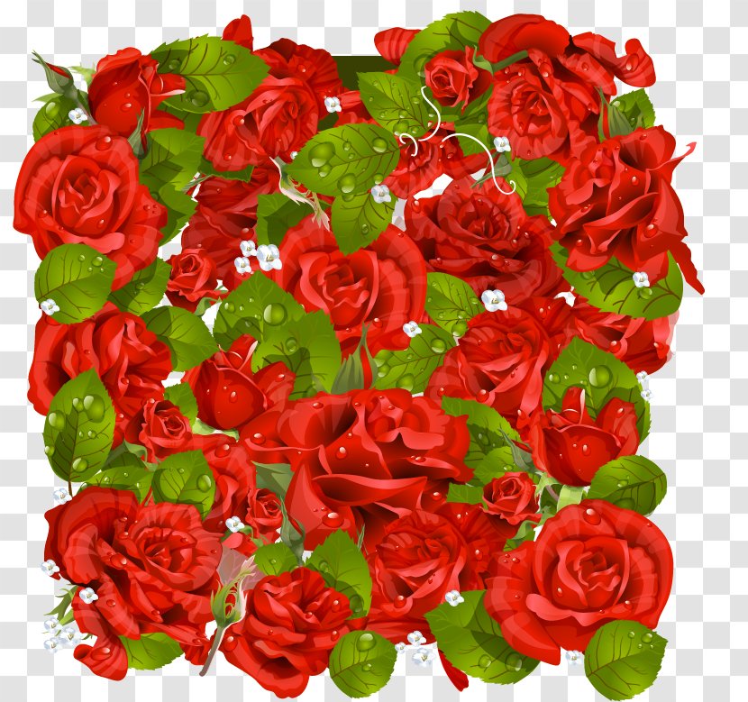 Garden Roses Picture Frames Clip Art - Petal - Tiff Transparent PNG