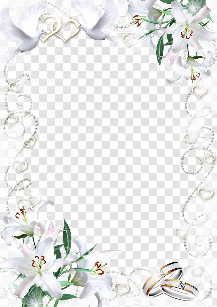 Picture Frame - Template - Mood Pictures Transparent PNG