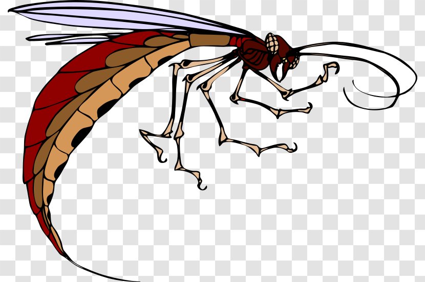 Insect Mosquito Clip Art - Pollinator Transparent PNG