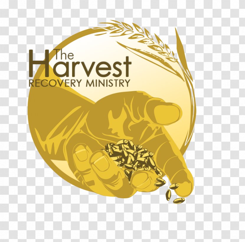 Legacy Church Of Naples, FL New Hope Ministries Tree Life - Logo Transparent PNG