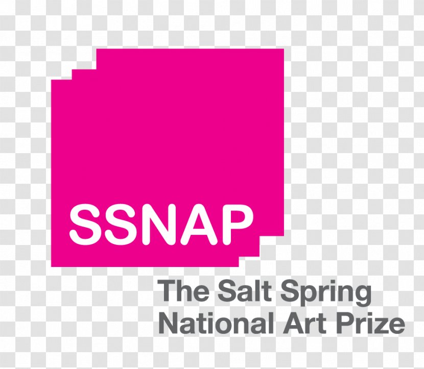 The Salt Spring National Art Prize Artist Juried Visual Arts - Island - Award Transparent PNG