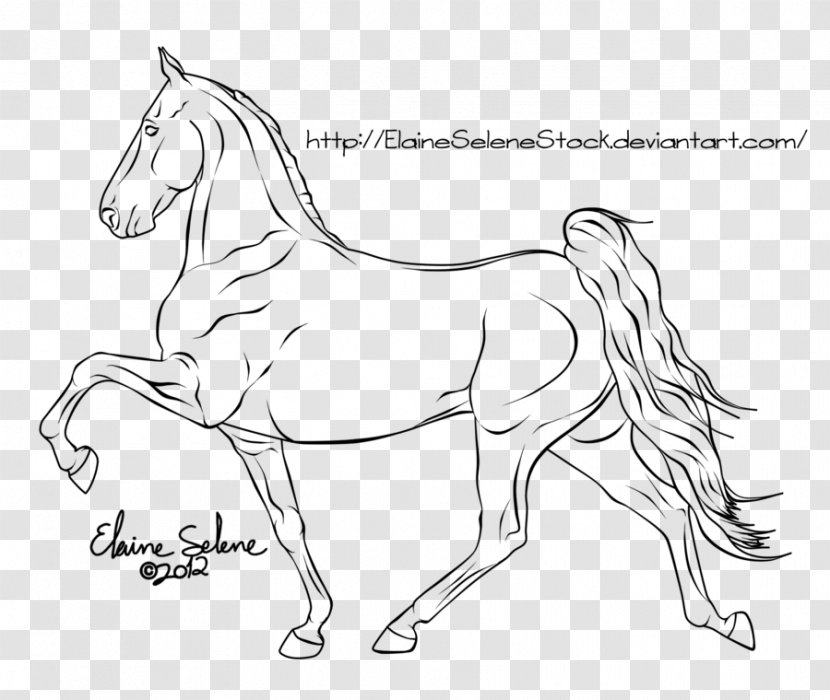 Tennessee Walking Horse Mustang Line Art Mane Bridle Transparent PNG