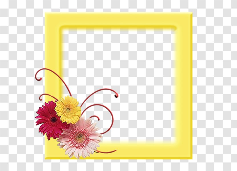 Transvaal Daisy Flowering Tea Chrysanthemum - Plant - Cassina S.p.A. Transparent PNG