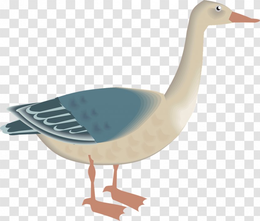 Goose Ganso Clip Art - Wing - Poultry Transparent PNG