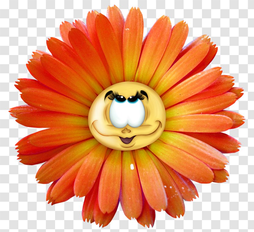 Yellow Flower Clip Art - Gerbera - Cute Cartoon Chrysanthemum Transparent PNG