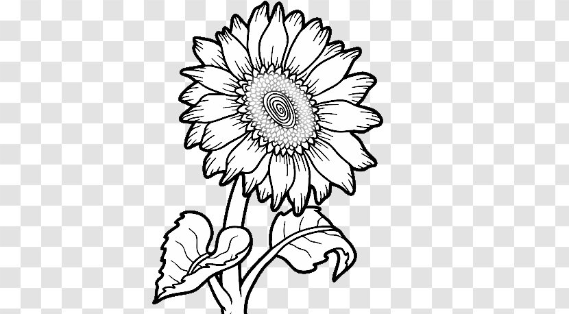 Common Sunflower Drawing Coloring Book - White - Scooby Doo Hamburguer Transparent PNG