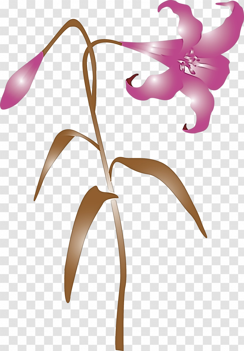 Easter Flower Spring Flower Transparent PNG