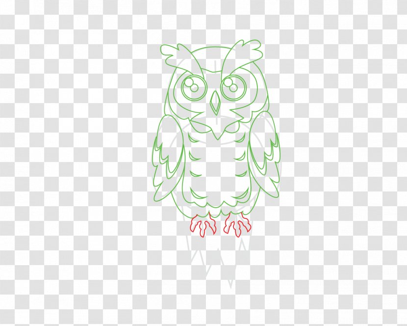 Owl Sketch Bird Beak Illustration - Organism Transparent PNG
