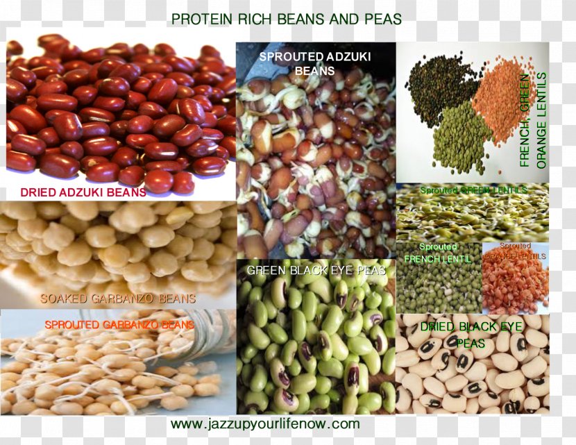 Vegetarian Cuisine Vegetable Organic Food Adzuki Bean Transparent PNG