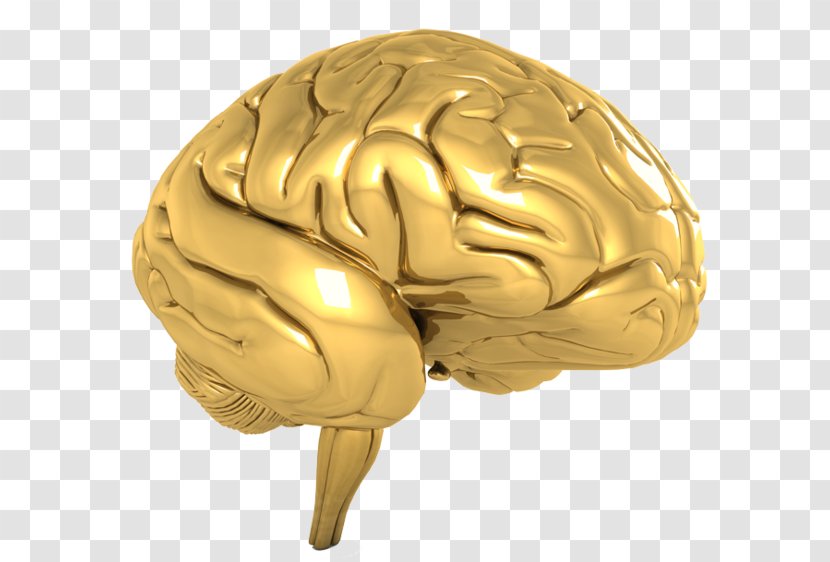 Human Brain Gold Cognitive Training Hidden Eye - Heart Transparent PNG