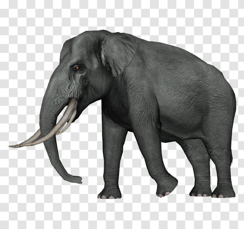 Asian Elephant Zoo Tycoon 2 Dwarf Straight-tusked - Indian Transparent PNG