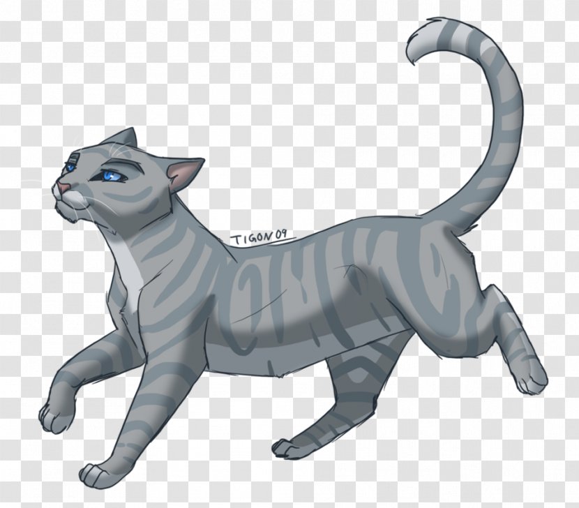 Cats Of The Clans Warriors Silverstream Graystripe - Tail - Golden Light Shine Transparent PNG