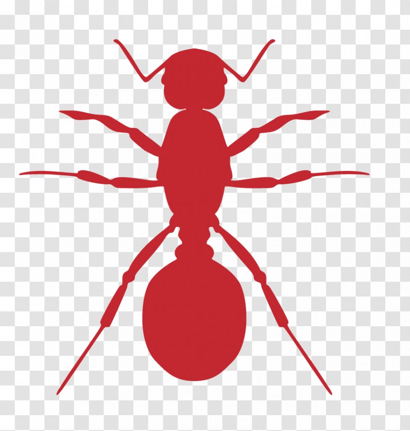 Insect Ant Cockroach Pest Clip Art - Stock Photography - Line Transparent PNG