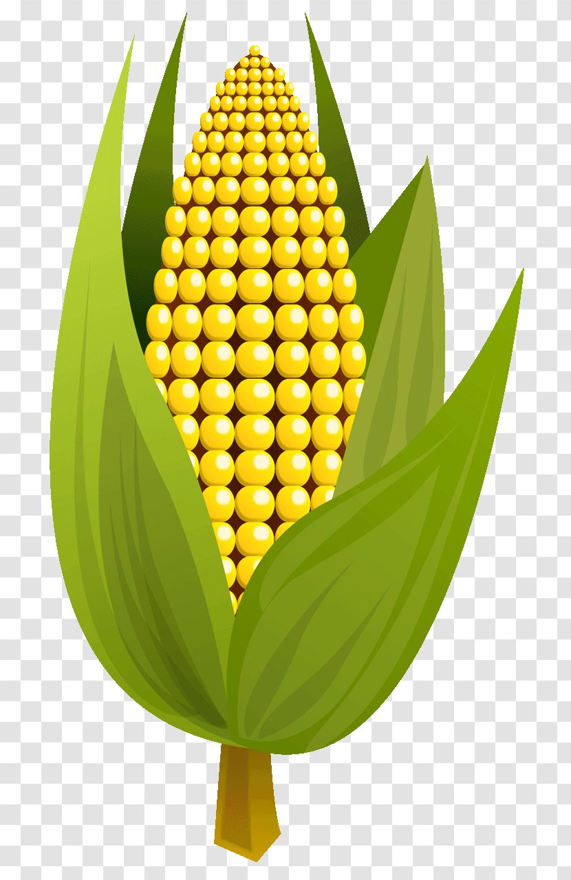 Corn On The Cob Maize Corncob Clip Art - Fruit - Food Transparent PNG