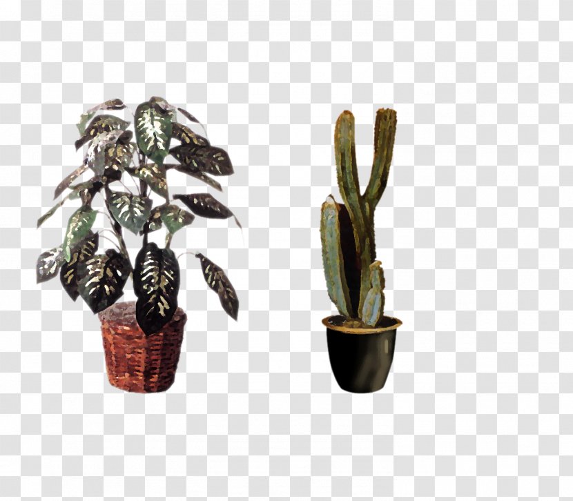 Bonsai Plant Garden Flowerpot Tree - Swiss Cheese - Cartoon Cactus Transparent PNG