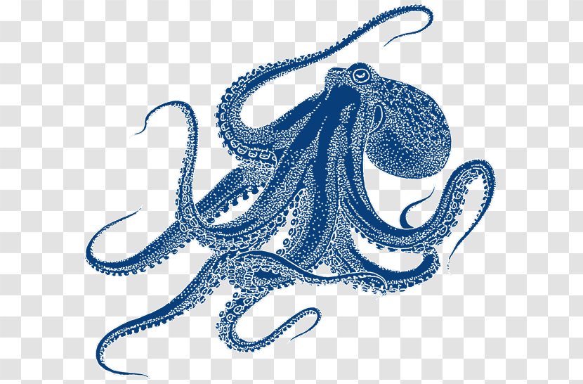 Octopus Drawing Art - Cephalopod - Royaltyfree Transparent PNG