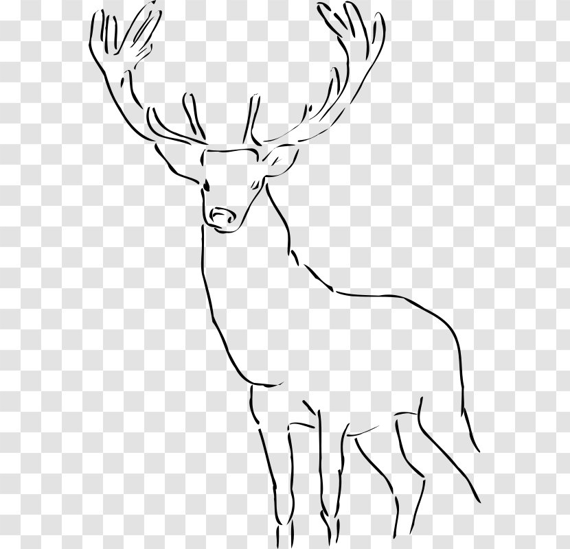 Deer Clip Art - Black And White Transparent PNG
