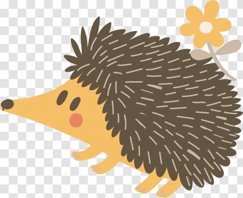 Hedgehog Porcupine Echidna Illustration - Mammal - Vector Cute Transparent PNG