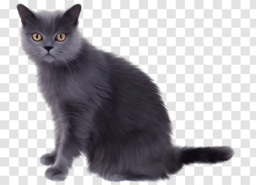 Kitten Persian Cat Clip Art - Black Transparent PNG