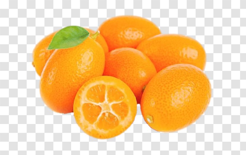 Kumquat Fruit Citrus Margarita Vegetable Lemon Transparent PNG