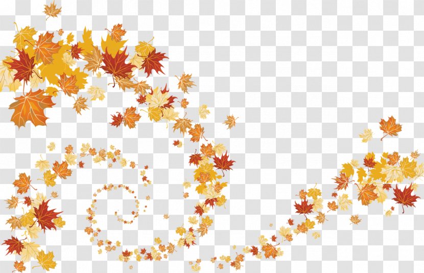 Text Leaf Vecteur Clip Art - Sky - Autumn Leaves Transparent PNG